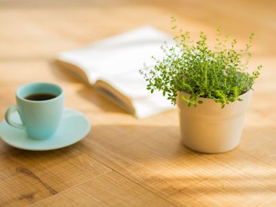 Conocé por qué las plantas también aman el café
