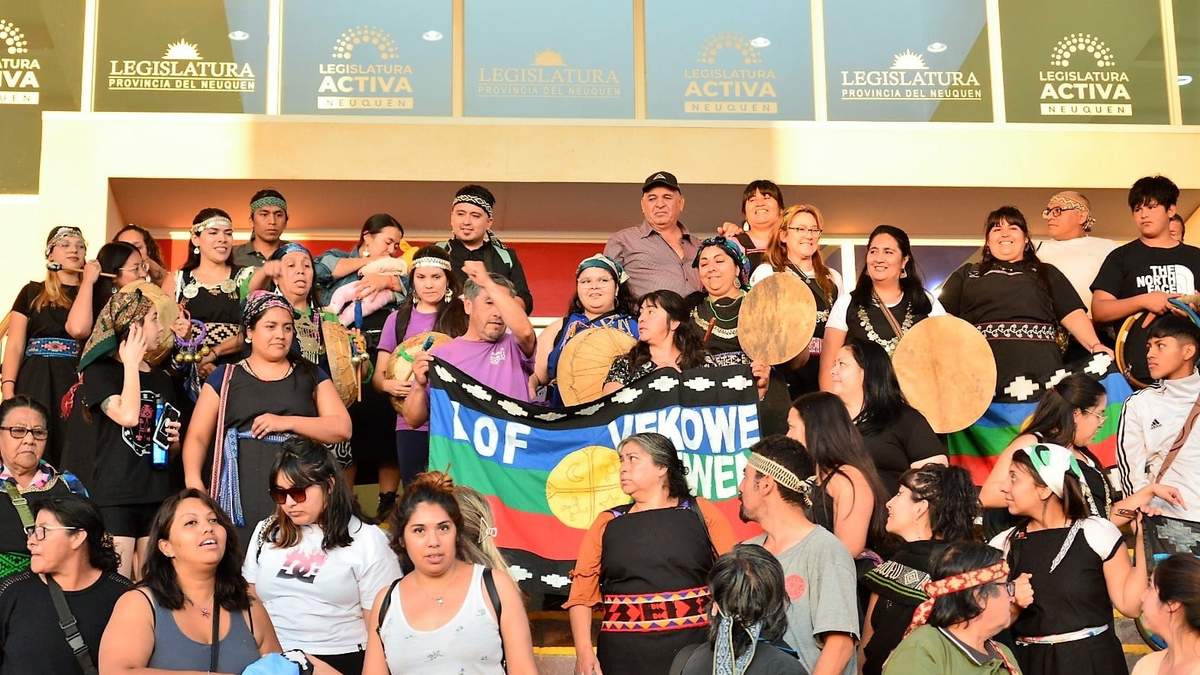 La Confederación Mapuche impulsó el proyecto.  Fuente: (Facebook)