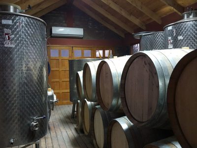 De exportación: el vino neuquino que toma el Papa Francisco