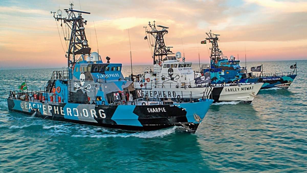 Barcos de Sea Shepherd, fundada en 1977