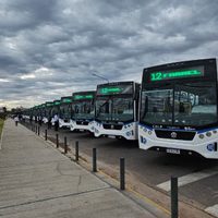 Presentaron las 36 unidades cero kilómetro que se suman al sistema COLE de Neuquén