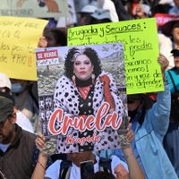 Nueva marcha animalista: comparan a Brugada con Cruella de Vil y “pasan lista” a víctimas (Video)