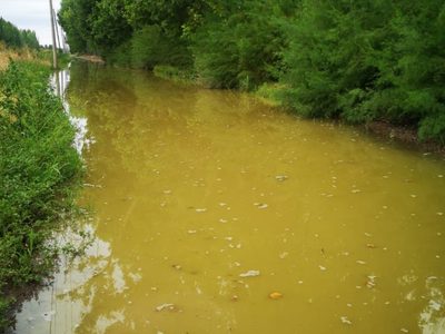 Se filtró agua del canal principal de riego de Centenario hacia las calles rurales