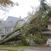 "Fiona" deja sin electricidad a medio millón de personas en Canadá