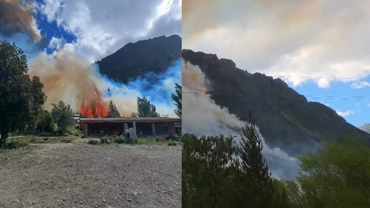 El incendio forestal de Epuyén arrasó casi cien hectáreas de bosque