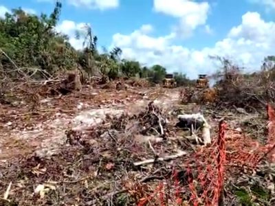 Juez revoca otras dos suspensiones a las obras del tramo 5 sur del Tren Maya