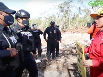 México, segundo en asesinatos de defensoras ambientales: la violencia, por megaproyectos
