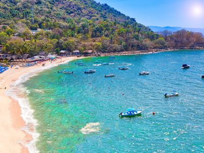 Turista extranjera muere tras choque de lancha con ballena en Puerto Vallarta