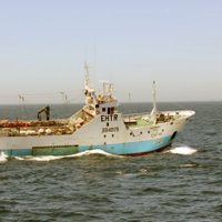Cerca del Golfo San Jorge: detectaron un pesquero español en el mar argentino
