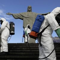 Brasil detecta una nueva cepa de coronavirus en el estado de Río de Janeiro