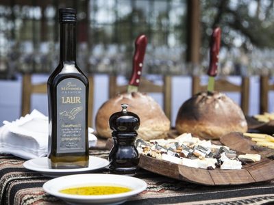 Aceite de oliva mendocino, elegido entre los mejores del mundo
