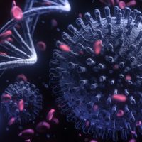 Vacuna contra el coronavirus: estas son las cifras al inicio de este septiembre