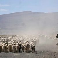 Así planea Neuquén enfrentar la sequía y mitigar los efectos sobre la producción