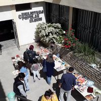 Gran repercusión obtuvo la feria de libros usados en la Biblioteca Popular Elordi de Zapala