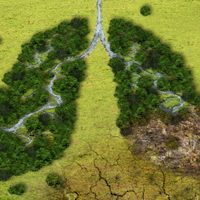 Es ahora: 230 revistas científicas llaman a los gobiernos a tratar con urgencia la crisis climática