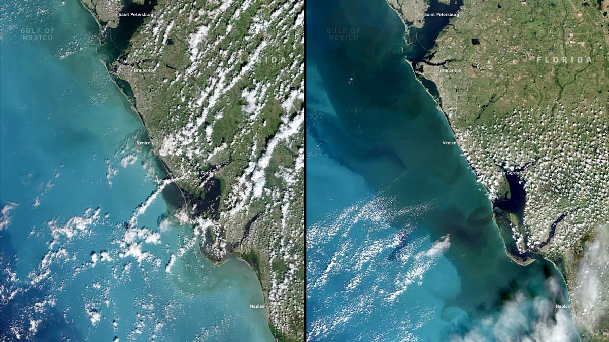 Copernicus elige como imagen del día la costa oeste de Florida antes y después del huracán Milton