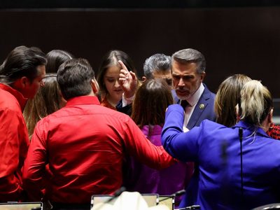 Sergio Mayer regresa a la Cámara de Diputados; “tengo el derecho”, justifica