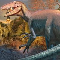 Hallan uno de los últimos dinosaurios carnívoros que habitó la Tierra