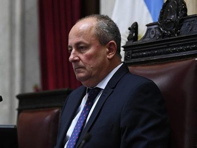 Hasta el último minuto: la Juventud Radical le pidió a este senador que revea su postura sobre la IVE