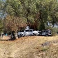 No han sido entregados los restos localizados en pozos de agua de Juventino Rosas: Colectivos