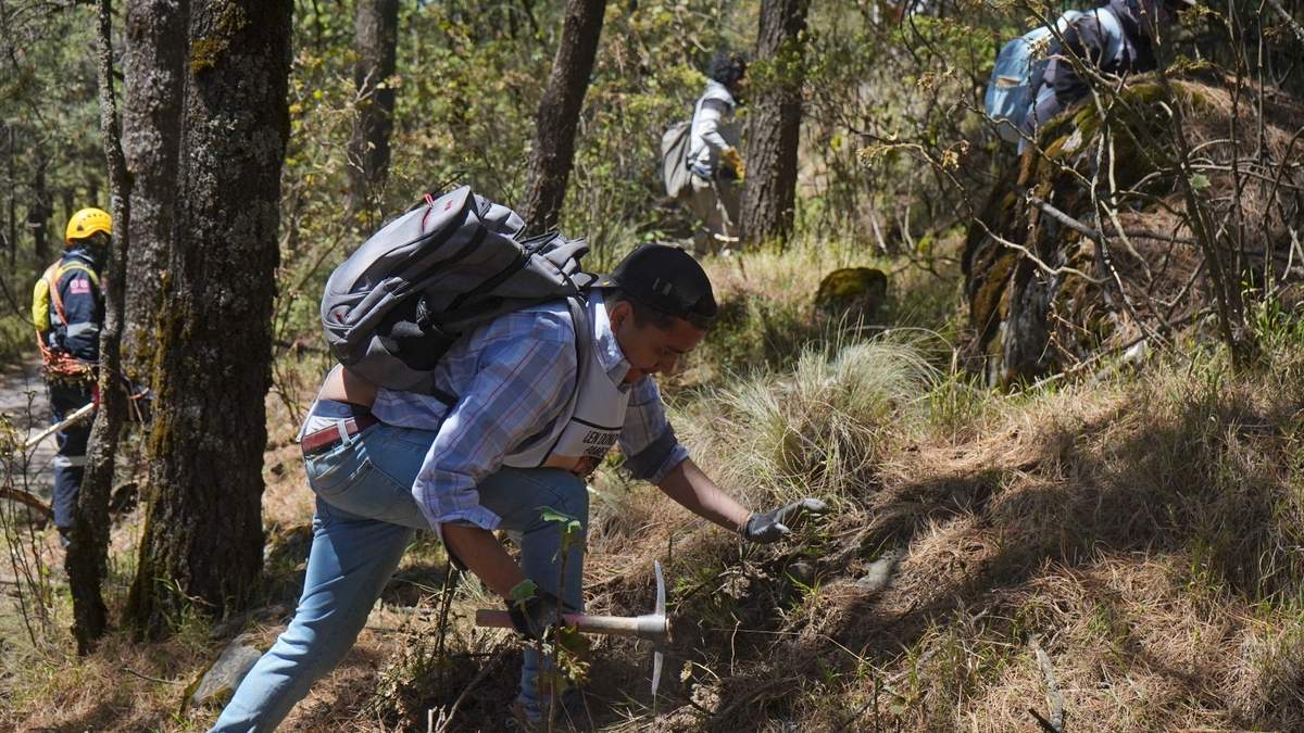 La jornada de búsqueda de Guadalupe Pamela Gallardo Volante