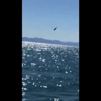 Helicóptero de la Semar cae en Golfo de California; hay dos lesionados y un desaparecido (Video)
