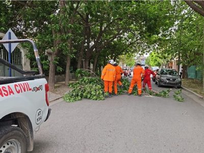 Las ráfagas de viento en Neuquén causaron serios inconvenientes en la capital