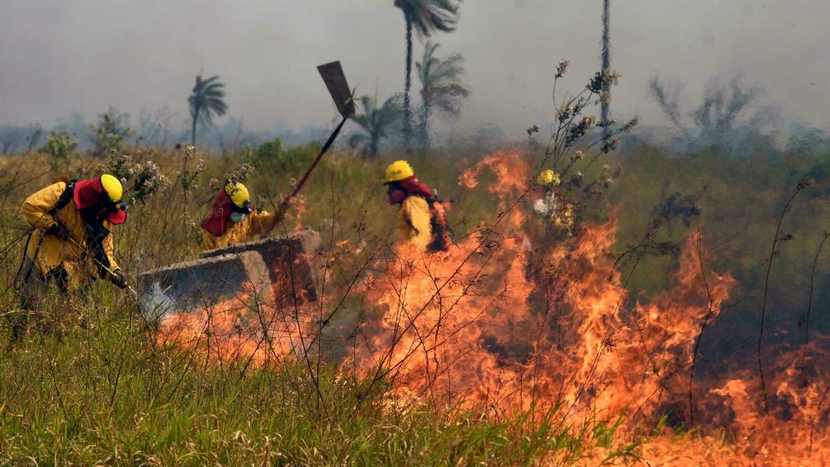 Los incendios forestales en Bolivia. Fuente: (Twitter)