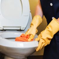 Cómo hacer un limpiador casero y económico para dejar la tapa de tu inodoro como nueva