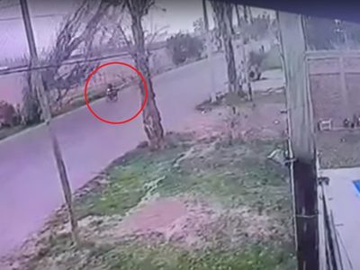 Un árbol cayó sobre un delivery en Las Heras y otro sobre una niña en San Martín