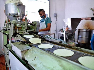 El maíz, prioritario para México, no para EU ni Canadá