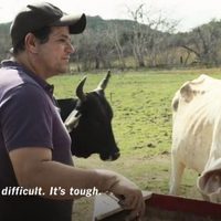 El New York Times lanza en su web corto de mexicana sobre desplazados