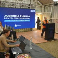 Audiencia Pública: entre verdades, falacias y maniobras dilatorias