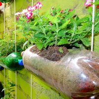 Dale vida a las plantas usando botellas de plástico y unas ramas pequeñas: muy fácil y original
