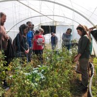 Paseo en familia: Eco Huertas en  La Angostura