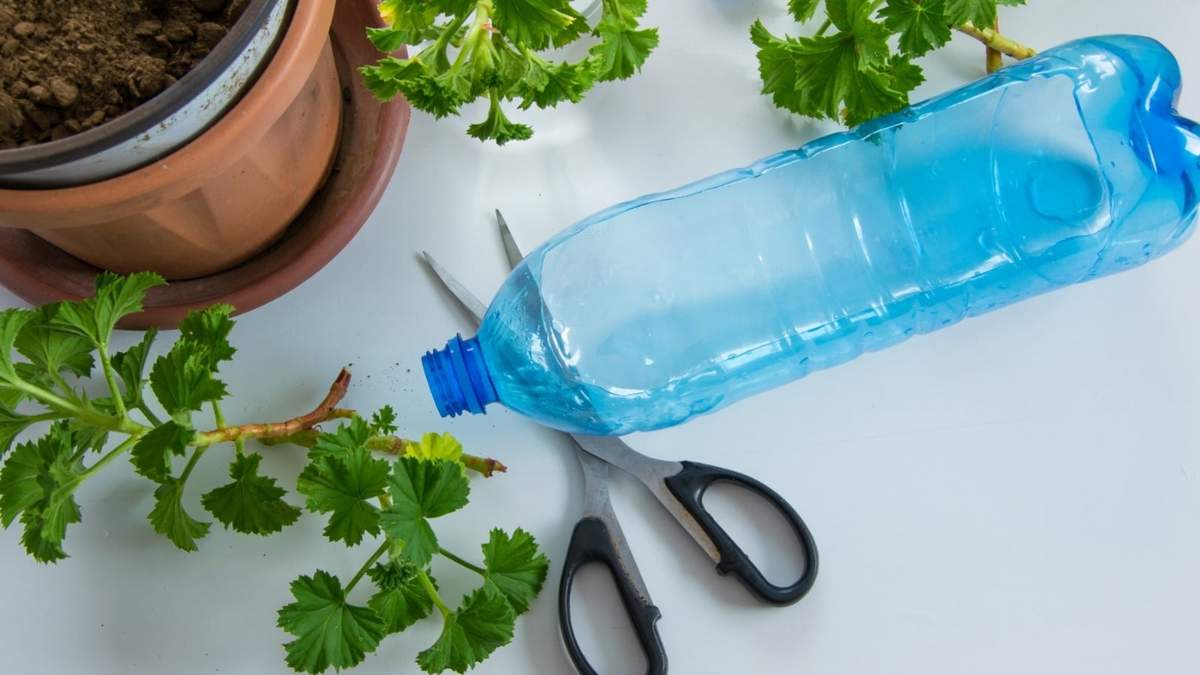Botellas de plástico. Fuente: (X)