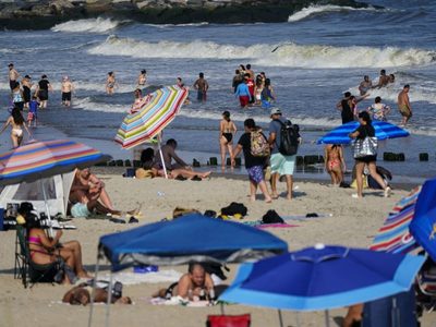 Tiburón ataca a una mujer en una playa de Nueva York