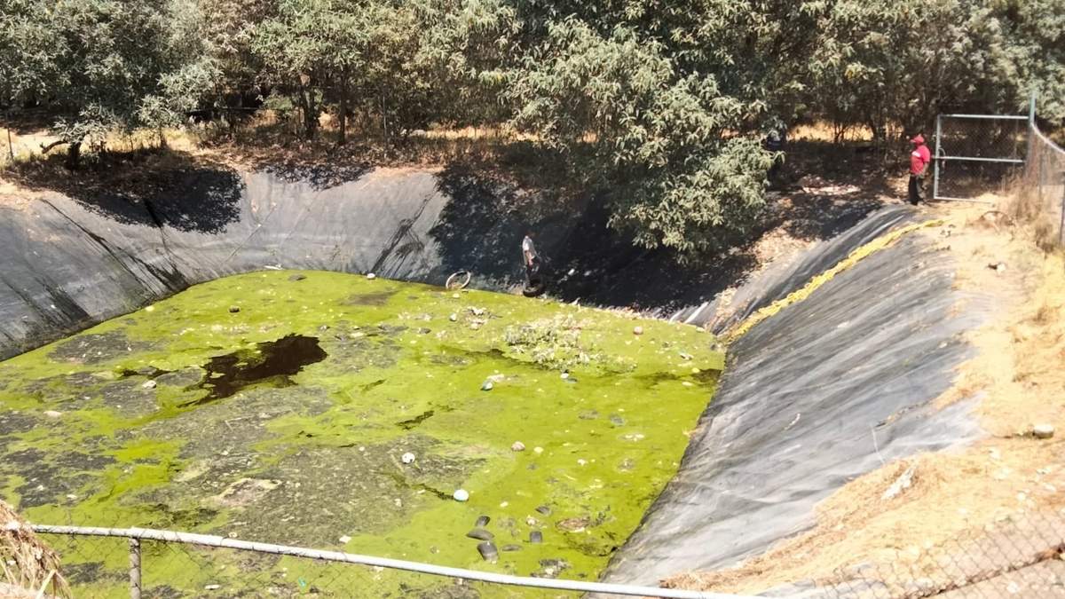 Relleno sanitario donde se hallaron los perros muertos
