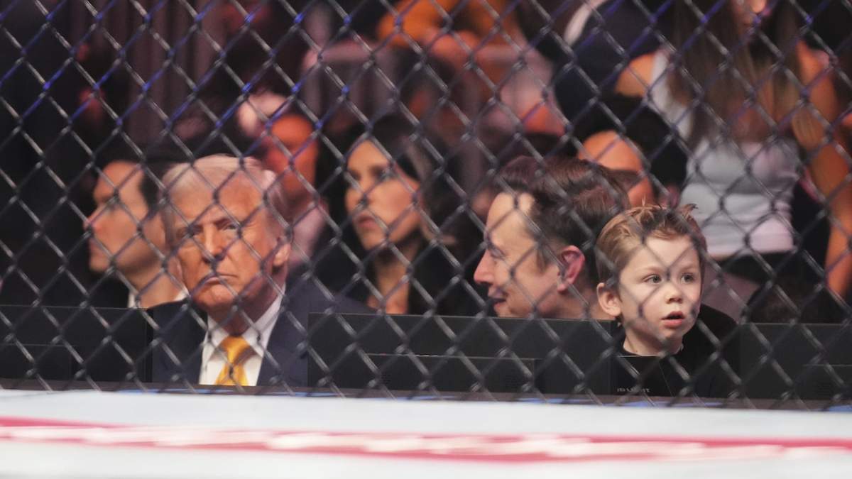 Donald Trump, Elon Musk, su hijo y al fondo, el secretario de Estado Marco Rubio y la directora Nacional de Inteligencia, Tulsi Gabbard, en la UFC