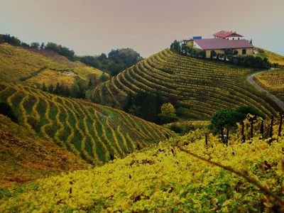 Txakoli, el rey de los vinos vascos