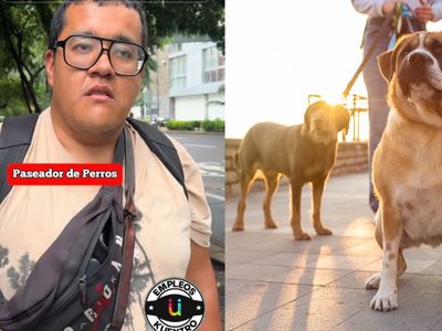 Paseador de perros sorprende con lo que gana al mes, más que un profesionista