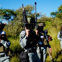 Narcogobierno