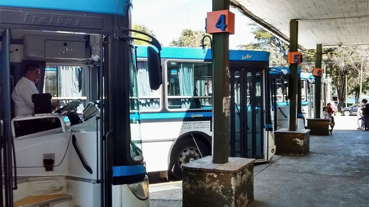 Colectivos de San Martín de los Andes. Fuente: (Twitter)