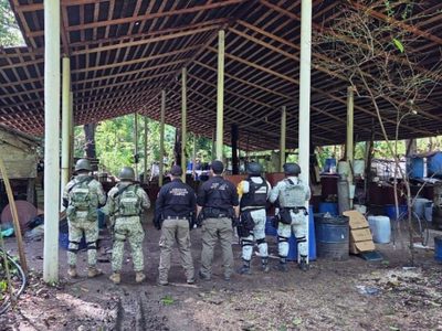 Desmantelan narcolaboratorio en Palenque, Chiapas; incautaron 900 kilogramos de metanfetaminas