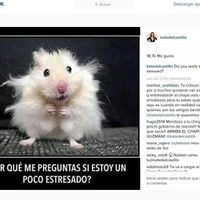 ¿De verdad creen que estoy estresada?, escribe Kate del Castillo en Twitter