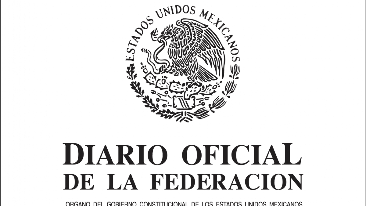 Edición del 14 de junio de 2024. Reformas a la ley de amparo