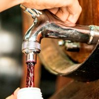 El INV aprobó que las bodegas vendan vino suelto