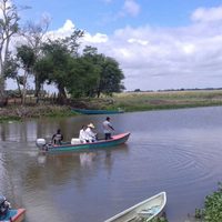 Aún no encuentran la causa de la mortandad de manatíes en Tabasco; ya van 39 casos
