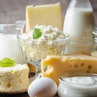 Alimentos que mejoran la actividad cerebral y nuestro estado de ánimo