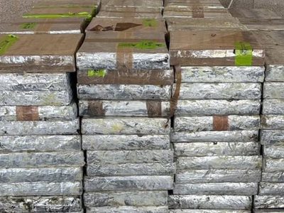 Decomisan carga de metanfetaminas escondida entre pepinos y chile morrón; valía 14 mdd
